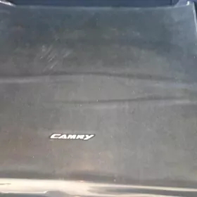 CAMRY BAGAŽ KOWRIK