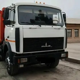 myty miti şebil
