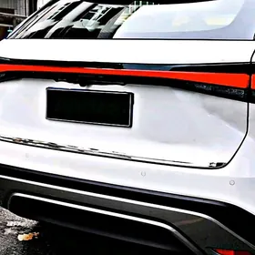 Lexus Bagaz Nikel