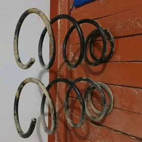Purjin Пуржин