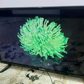 🌳TELEWIZOR ALÝAN ПОКУПАЕМ📲
