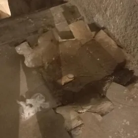 Gazel Mator Zasita