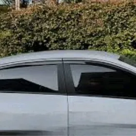H-Elantra 21-25 gapy kozyryok