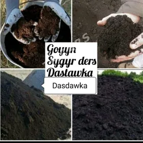 ELENEN DERS GUM MITI AK SEMENT