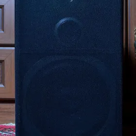 PIONEER KOLONKA