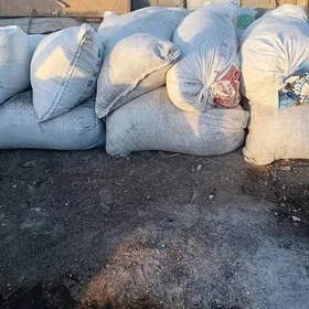 çàge ders