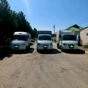 Gazel  газель yuk oy gos dasama
