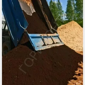 CAGE DER SEMENTGUM  MITI ŞEBL