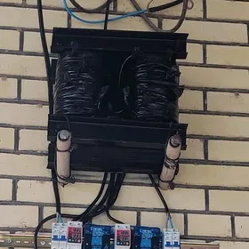 tok köpeltyan