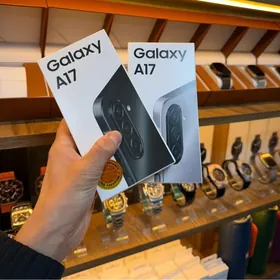 A17 6/128Gb