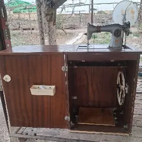 тикин машин чайка