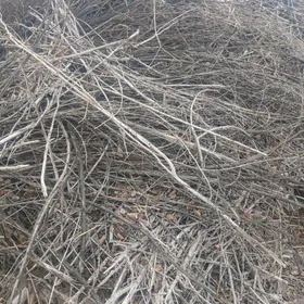 Odun