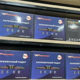 Partroynik