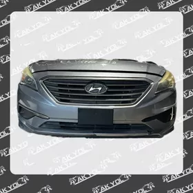 SONATA 16 MORDA