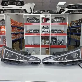 Elantra 19-20 Fara