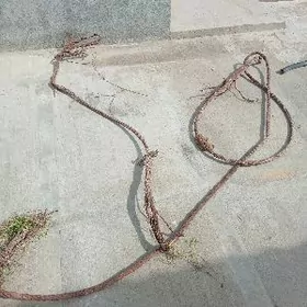 tros трос