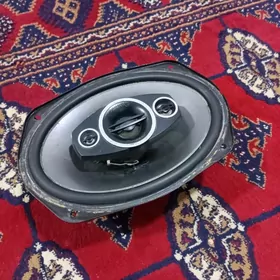 Pioneer