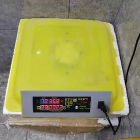 Inkubator