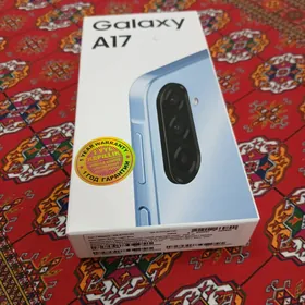 A 17