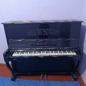 pionina