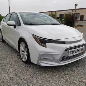 Toyota Corolla 2020