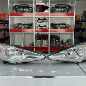 Fara Sonata 11-12