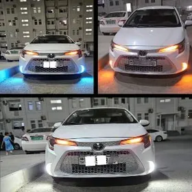 Karolla tumani 2019.2025 fuly
