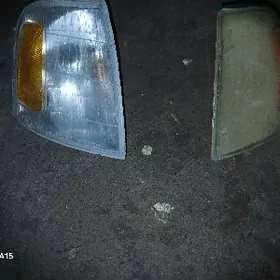Pawarotnik cyra