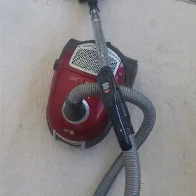 Plesos