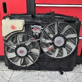 Haylander 2019 radiator mordo