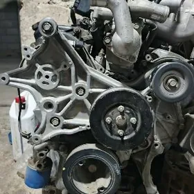 Pajero mator