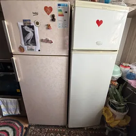 beko, aristokratka