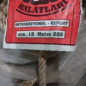 Ýüp