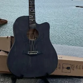 ELEKTRO BANSID GITARA KOMPLEKT