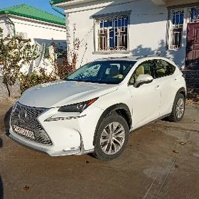 Lexus NX 300 2019