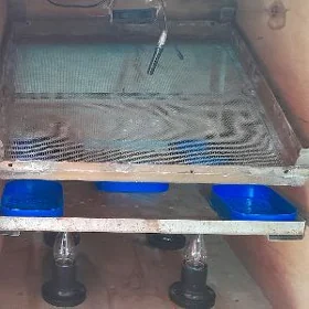 Inkubator
