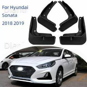 18-19 sonata brazgawik