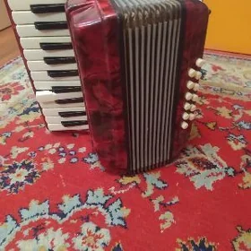 аккордеон 30х40