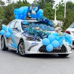 caga masyn bezeg mersedes bmw