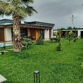Köşi ful plan кеши люкс план