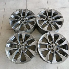 Siyena diska r17