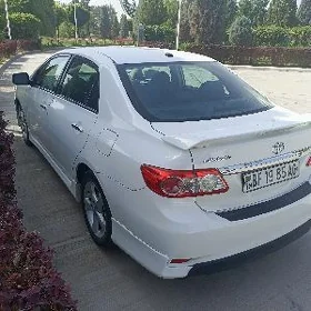COROLLA KRYŚA REZYN