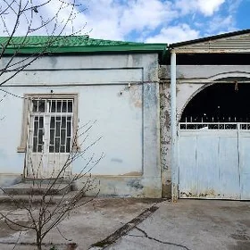 satlyk jay Şor