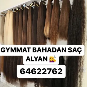 Sash alyan