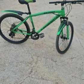 turkmenistan tigir