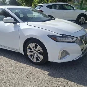Nissan Maxima 2019