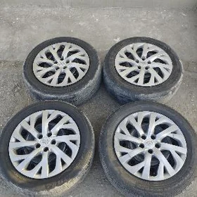 karolla diska kalpak