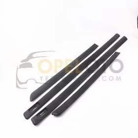 Astra G molding
