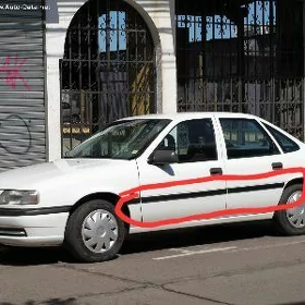 Vectra A molding