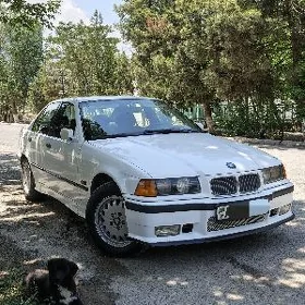 BMW 325 1992